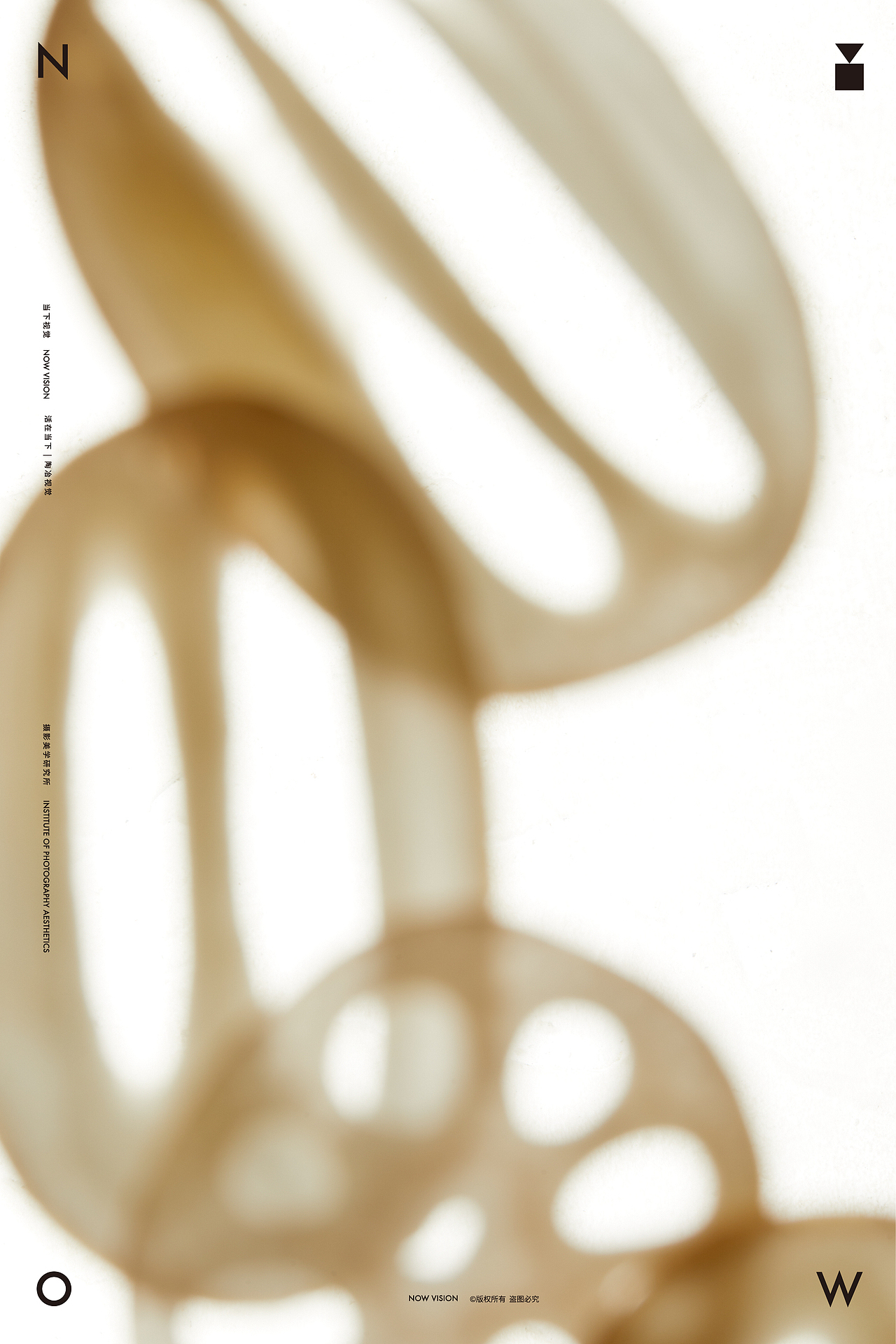 自然造物 解剖美学