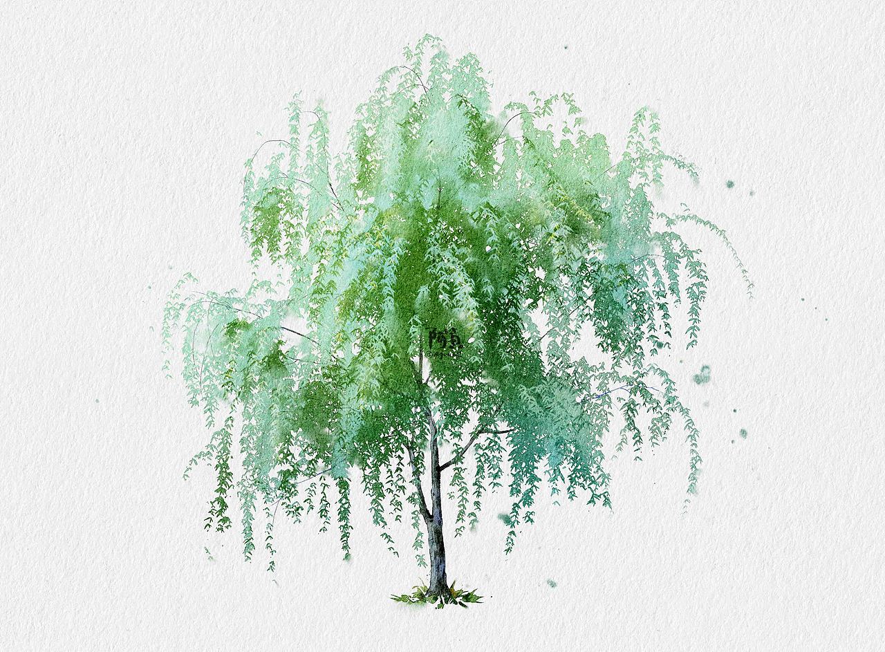 四季的树（图ZMzM0NzI1Njc2） - 创作习作 - 站酷设计师无敌阿贡原创素材 - 站酷ZCOOL