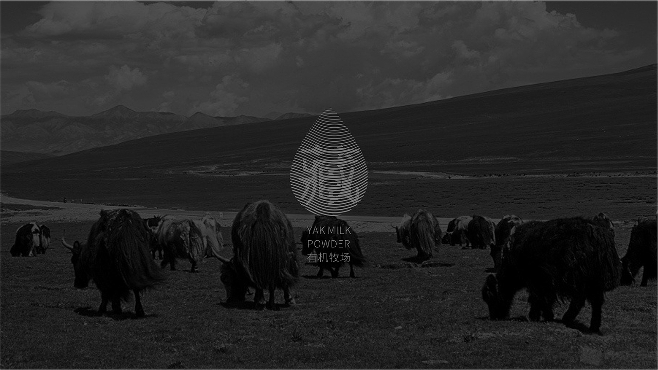 藏物×周周｜牦牛乳蛋白粉