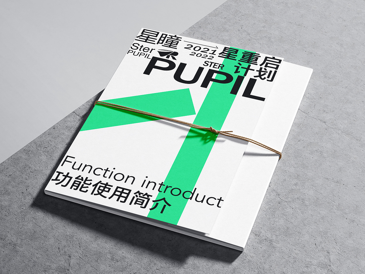 "星瞳“VR科技品牌VI设计