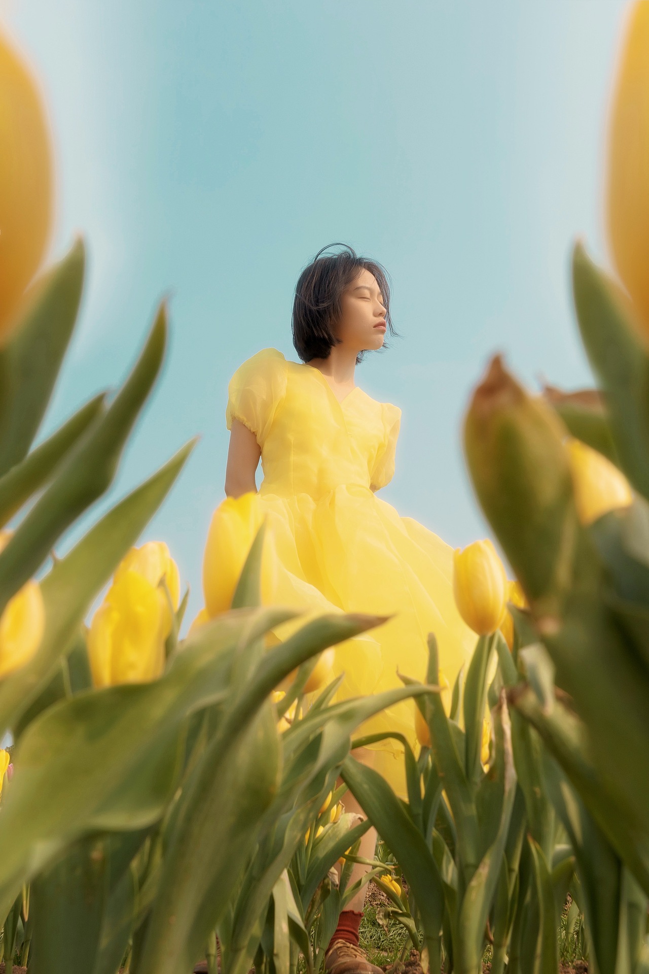 tulip garden（图ZMzM0NzU2MjQw） - 人像摄影 - 站酷设计师水元原创素材 - 站酷ZCOOL