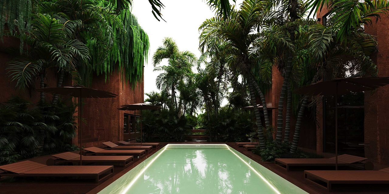 藏身在雨林的餐廳