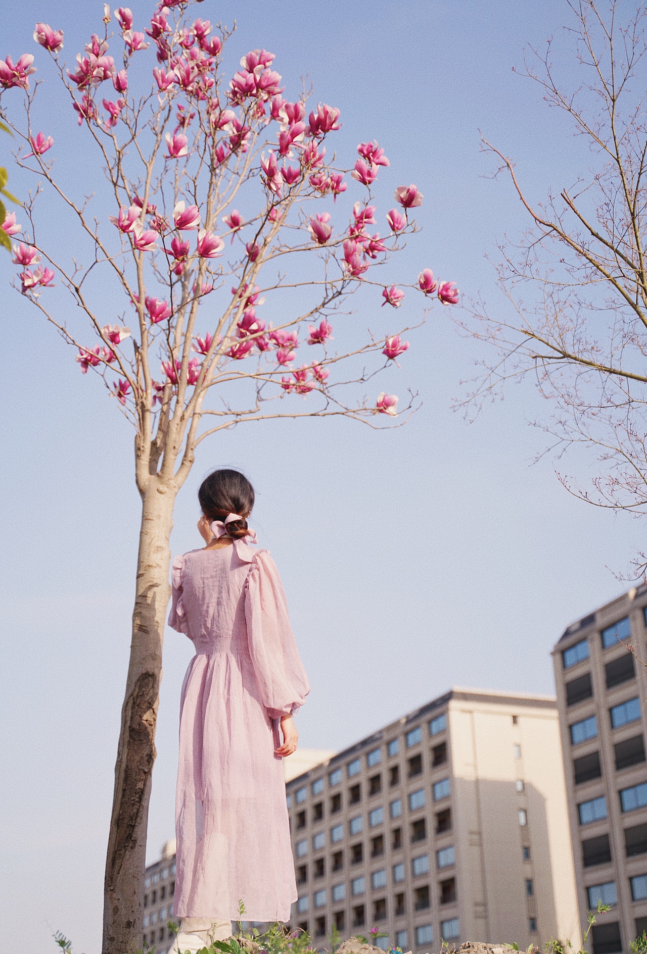 岁月清浅,阳光正好