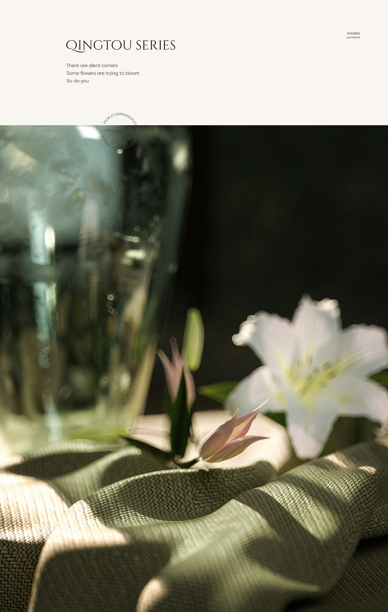 静候百合的绽放