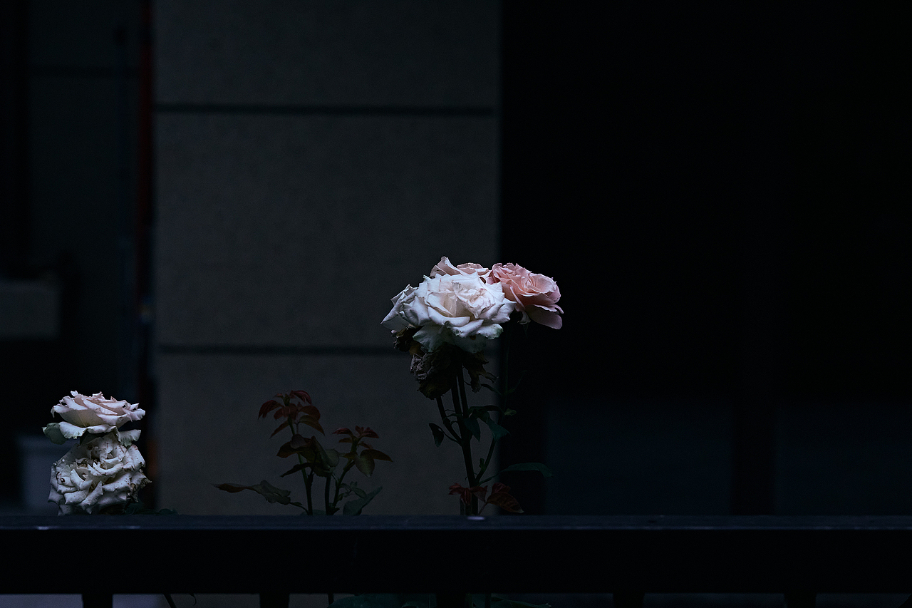 20220508试镜百微