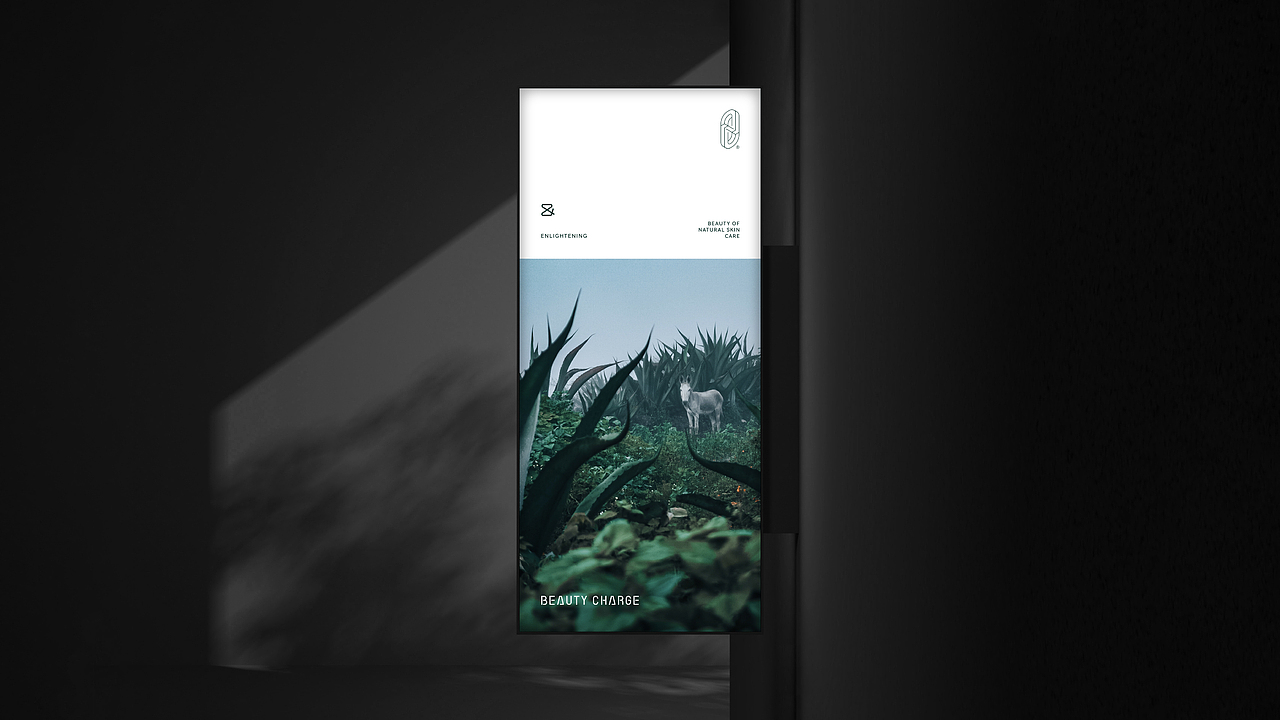 BEAUTY CHARGE|日护品牌