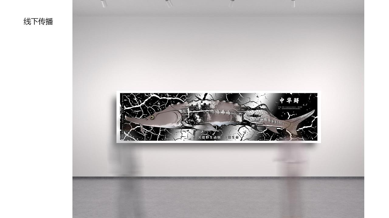 保护野生动物动态公益海报实验设计与探究