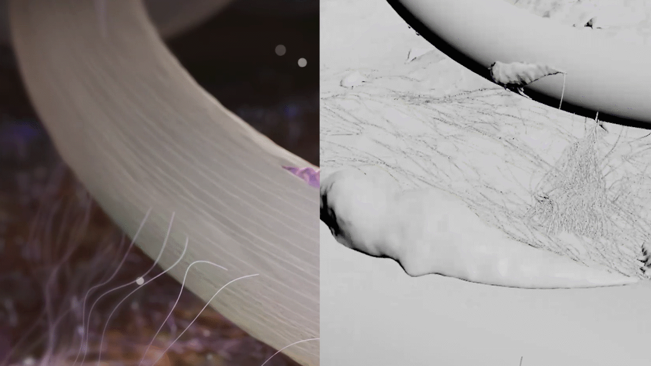 医疗品牌设计|甲方让60天还原皮肤愈合过程?