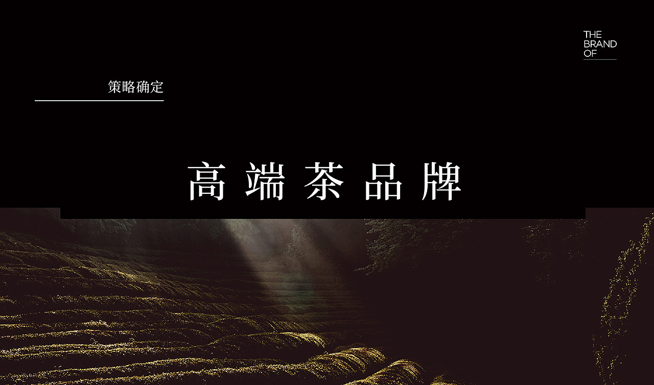 橙就创意 | 茶时茶客-品牌策划/品牌定位/VI设计