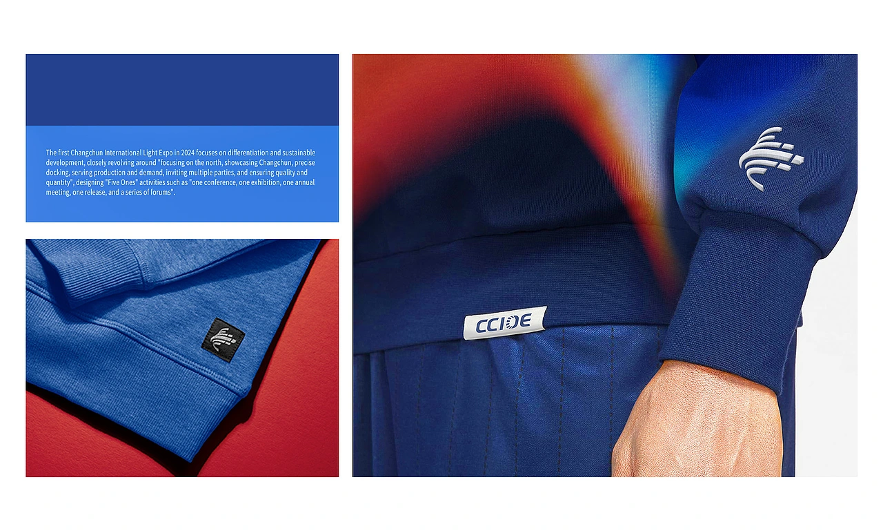 LOGO 展览会LOGO设计 长春国际光电博览会LOGO VI设计