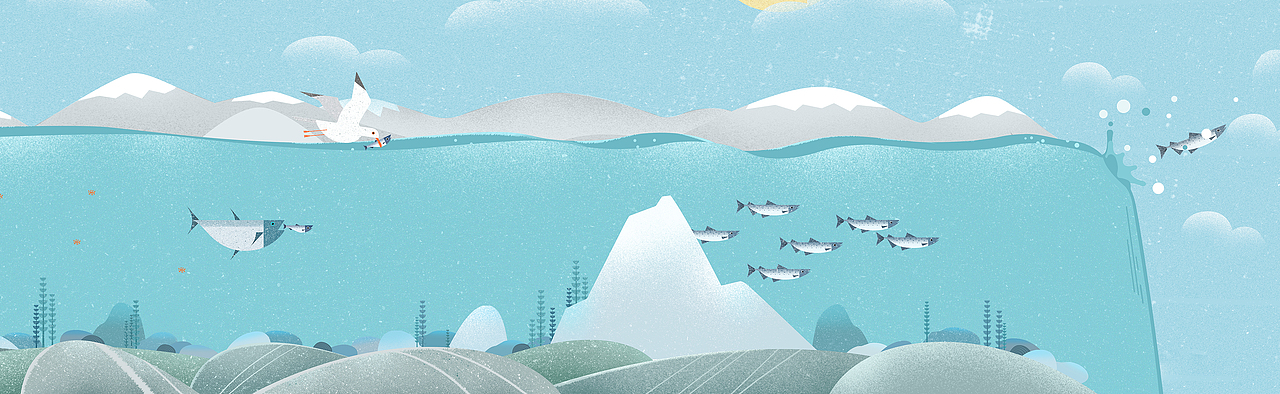 永辉超市超级物种——挪威节鲑鱼场景插画 动效H5（图ZMzYyOTY2NTM2） - 商业插画 - 站酷设计师安Andy原创素材 - 站酷ZCOOL