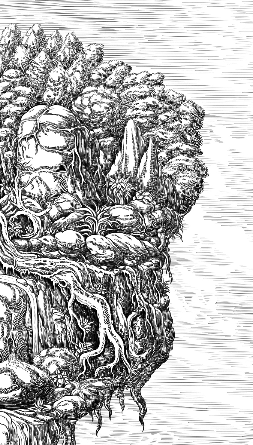 滴水洞白酒包装插画