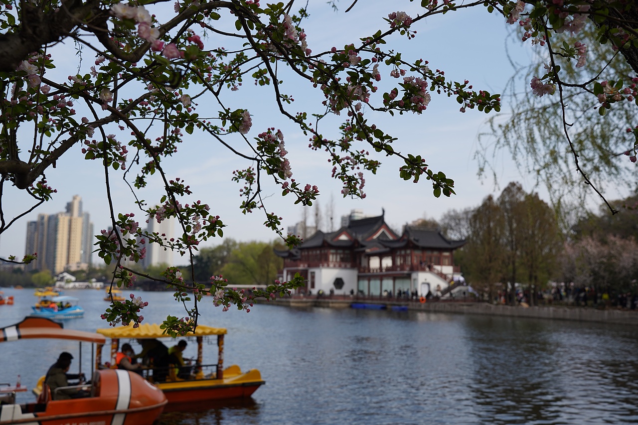 南京莫愁湖公园