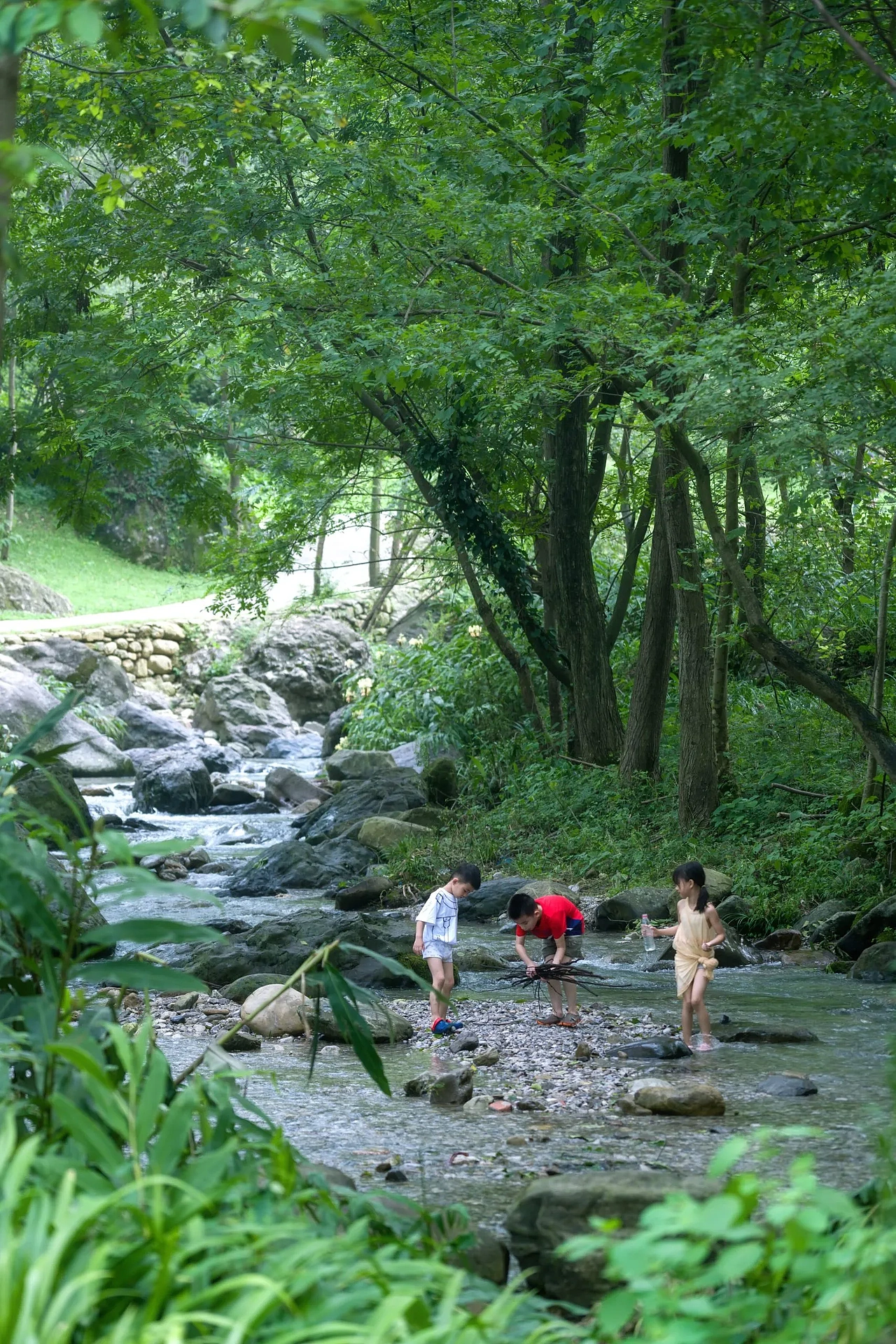 【案例分享】峨眉·高桥小镇