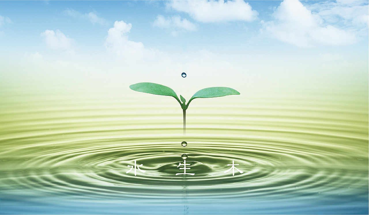 中医品牌-梁溪青囊品牌美学