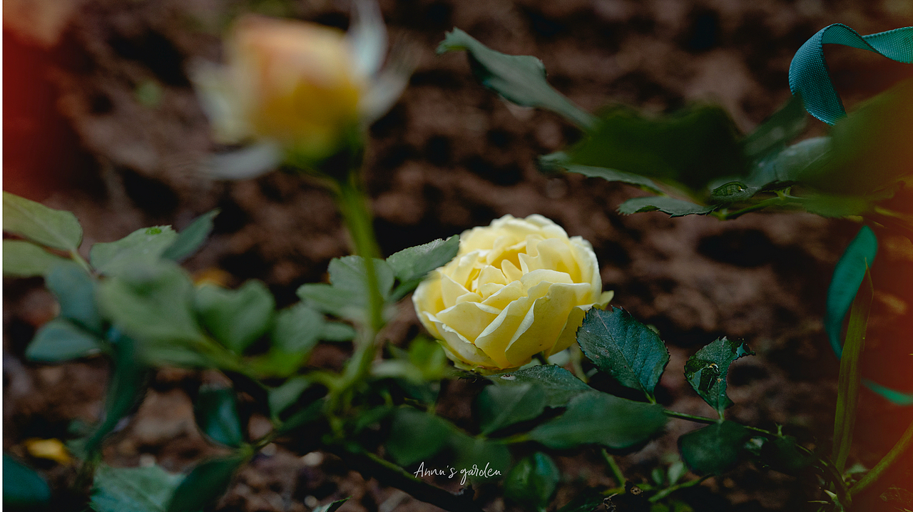 女生手中sony A7c能有多好用呢（图ZMzAyNTMxMzUy） - 人像摄影 - 站酷设计师原来是惊蛰啊原创素材 - 站酷ZCOOL