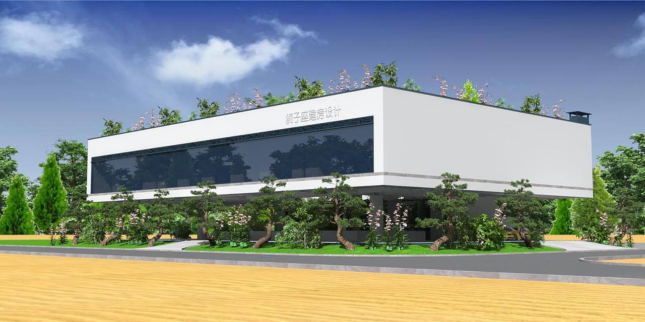 空中四合院儿,农村自建房设计