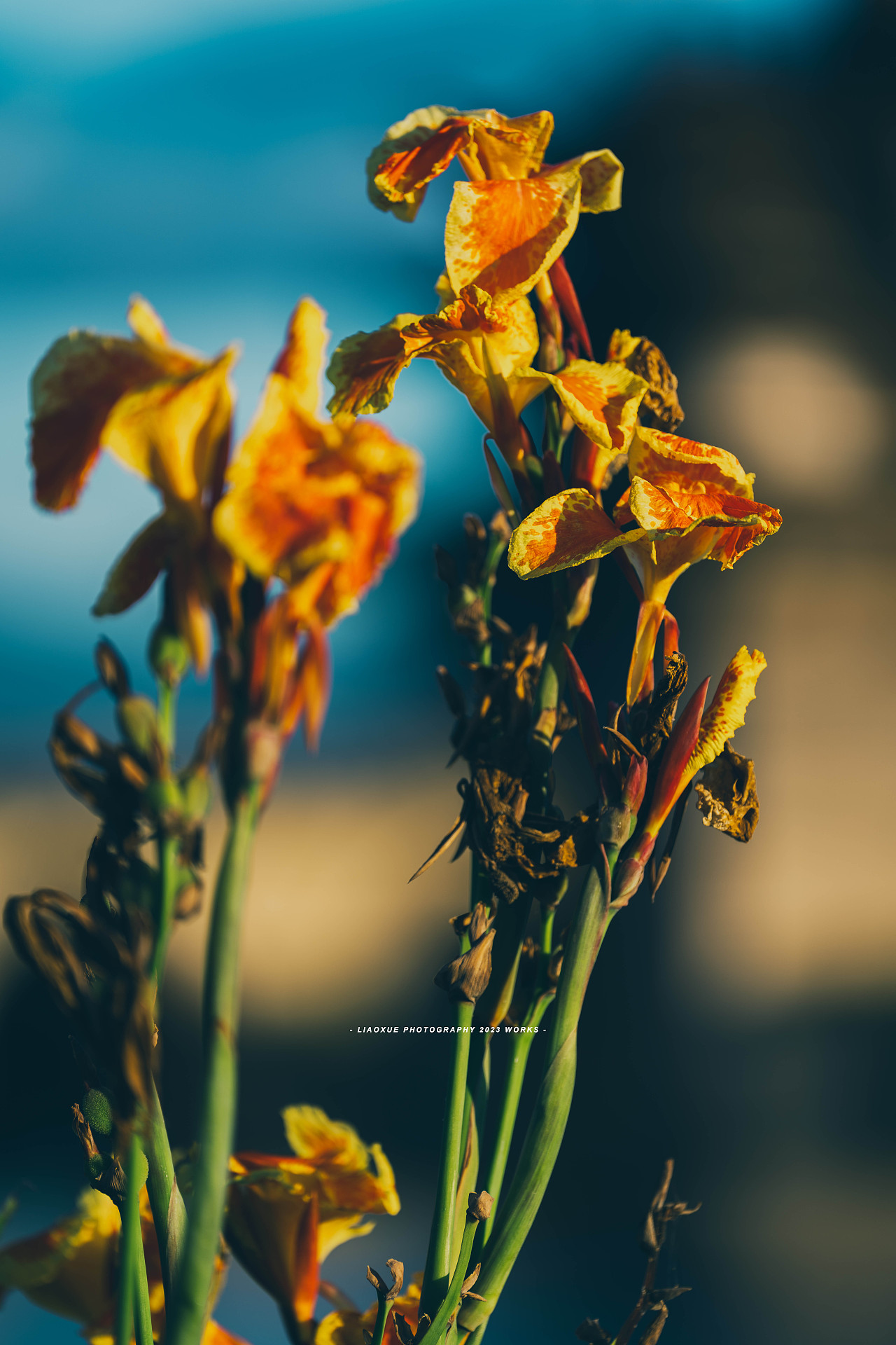 旅行摄影流水帐|镜头里的秋（图ZMzUzMDI5MjI4） - 人文/纪实摄影 - 站酷设计师雪小廖原创素材 - 站酷ZCOOL