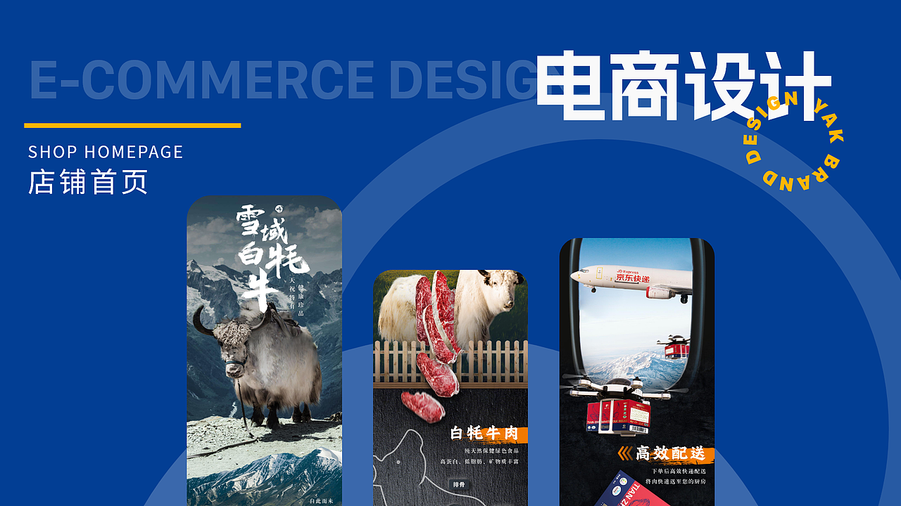 白小哞-天祝白牦牛项目