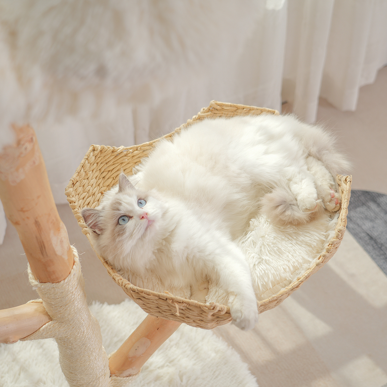 猫爬架拍摄宠物广告拍摄摄影静物广告亚马逊主图设计视