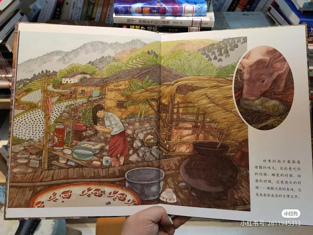 绘本《致我们亲爱的故乡》二印的签绘明信片