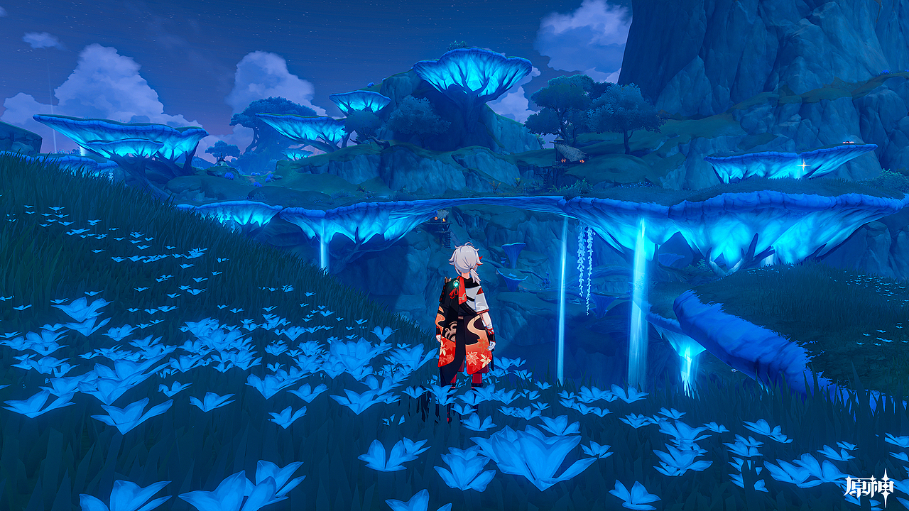 游戏摄影 - 原神须弥地图