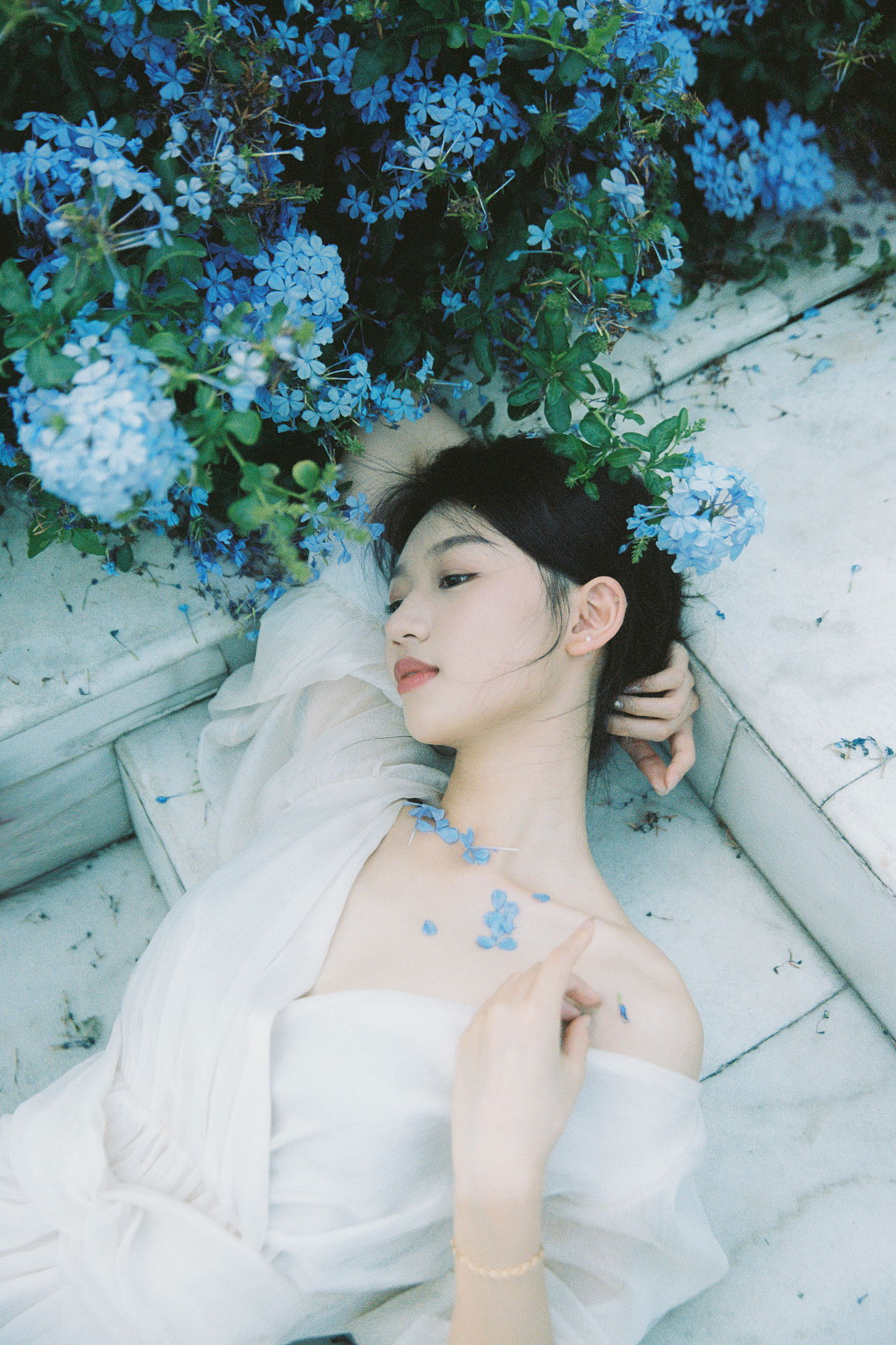 Collection best of 2022