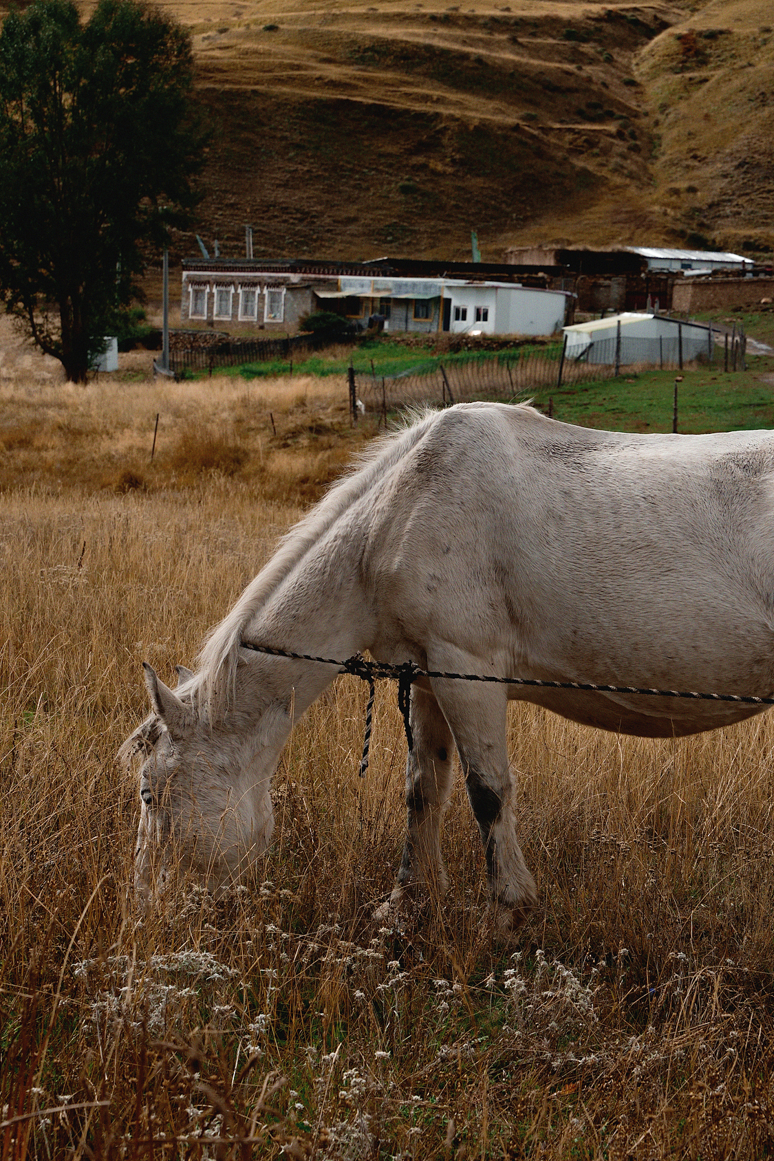 努力走着，为一份温柔的着落（图ZMzMwOTYxODA4） - 人像摄影 - 站酷设计师白山Gavin原创素材 - 站酷ZCOOL