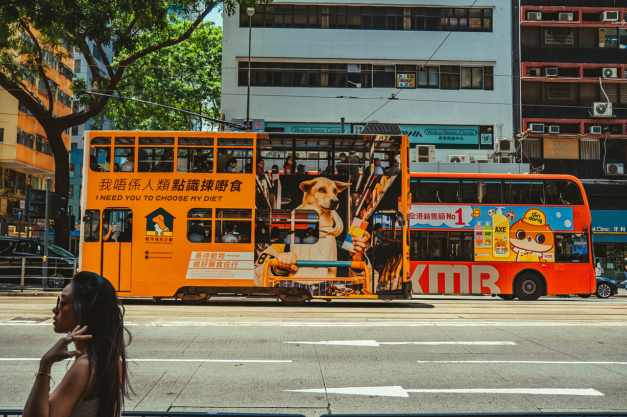 这里是，中国香港