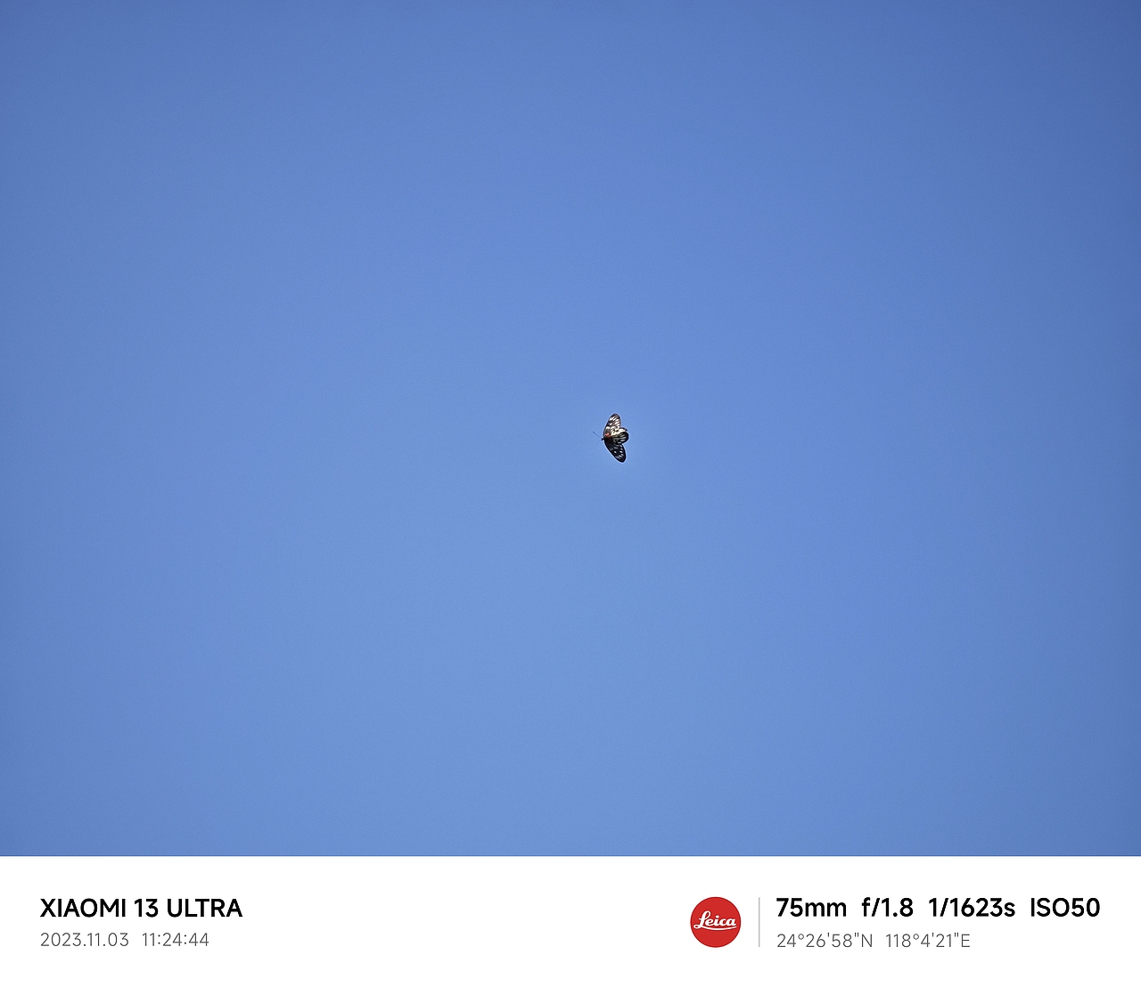 厦门之旅（图ZMzU1MDI5MzEy） - 风光摄影 - 站酷设计师TUBI颗粒子原创素材 - 站酷ZCOOL