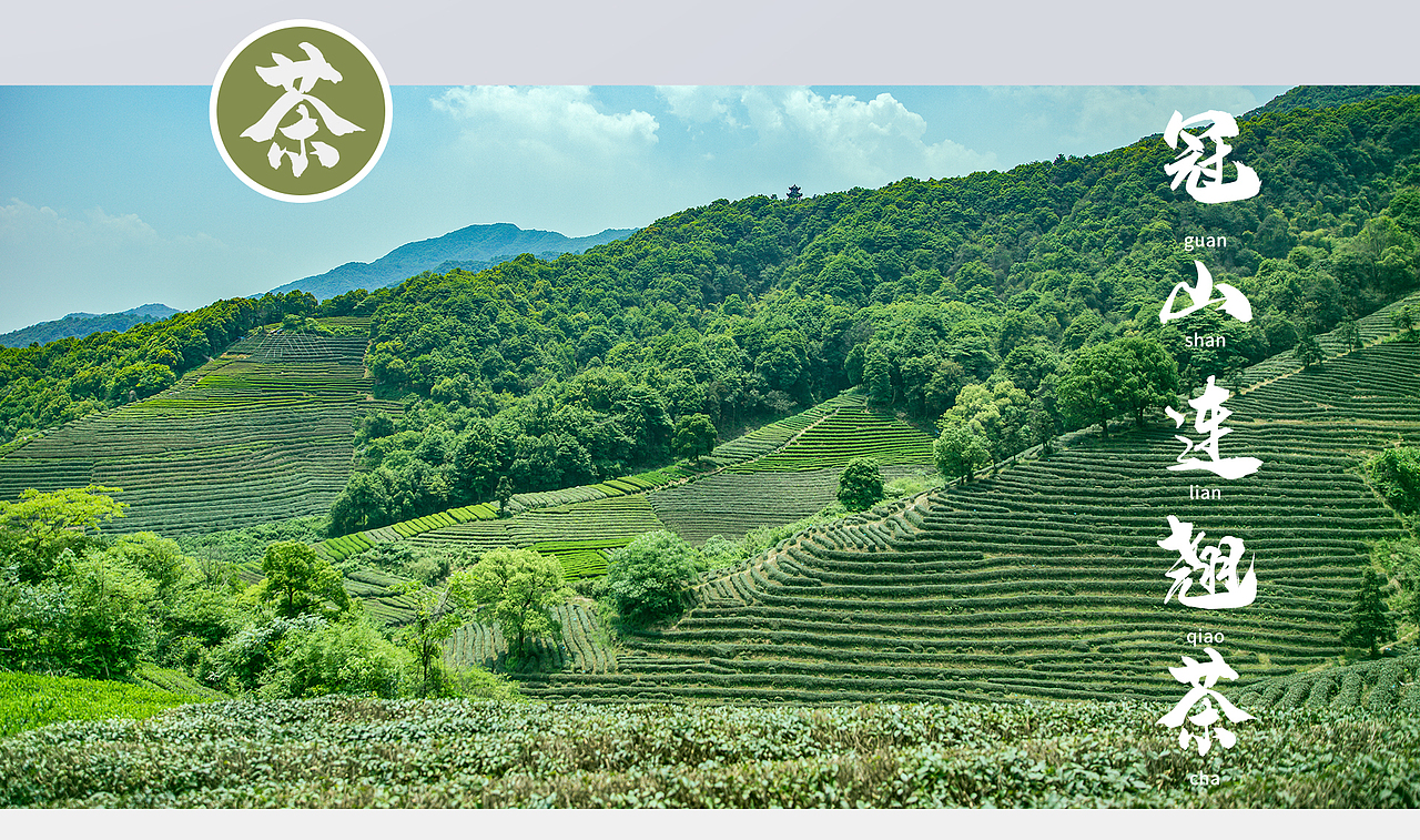 茶叶包装--非遗冠山连翘茶插画包装设计（图ZMzI0MDIwOTky） - 商业插画 - 站酷设计师哈咪耶果酱原创素材 - 站酷ZCOOL