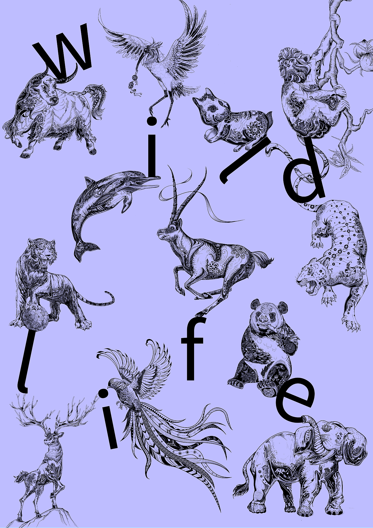 濒危动物系列国潮插画