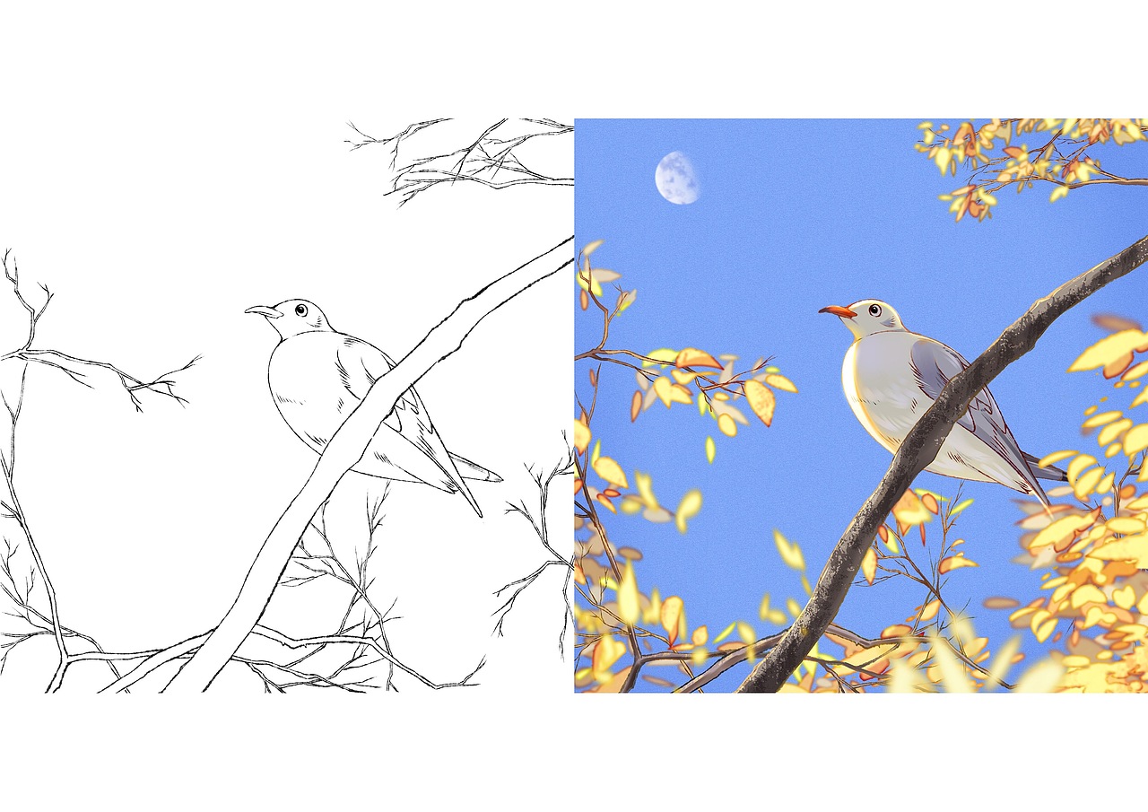 色彩练习（图ZMzQyODA1NTA0） - 创作习作 - 站酷设计师茶总的狗原创素材 - 站酷ZCOOL