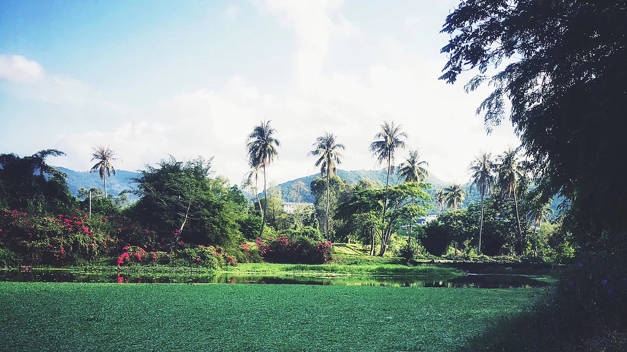 三亚学院（图ZMzE5OTcwMTY0） - 环境/建筑摄影 - 站酷设计师风君子8815原创素材 - 站酷ZCOOL