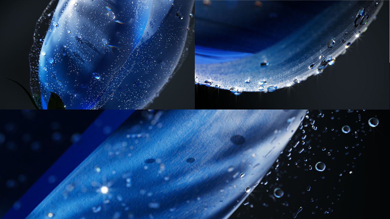 Song of the flowers 花/语（图ZMjk3MDk5Njcy） - 动画/影视 - 站酷设计师Clown一鸿原创素材 - 站酷ZCOOL