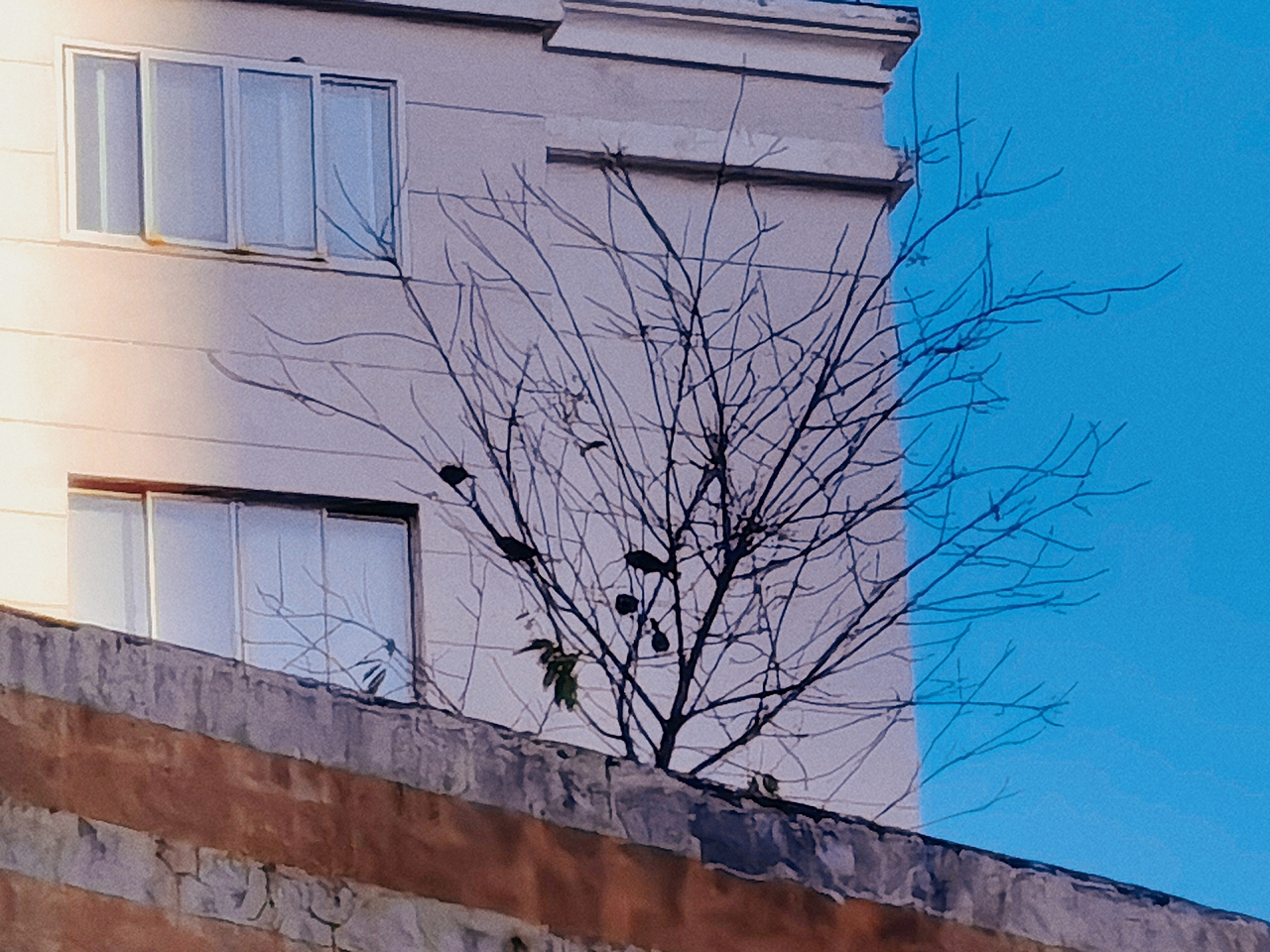 2022年手机摄影系列