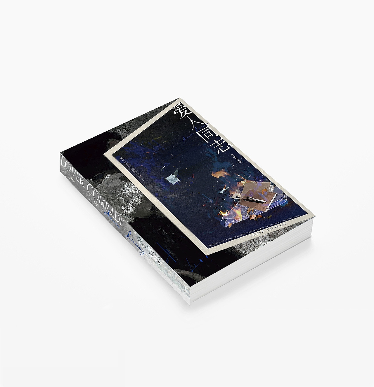 《爱人同志》/封面设计