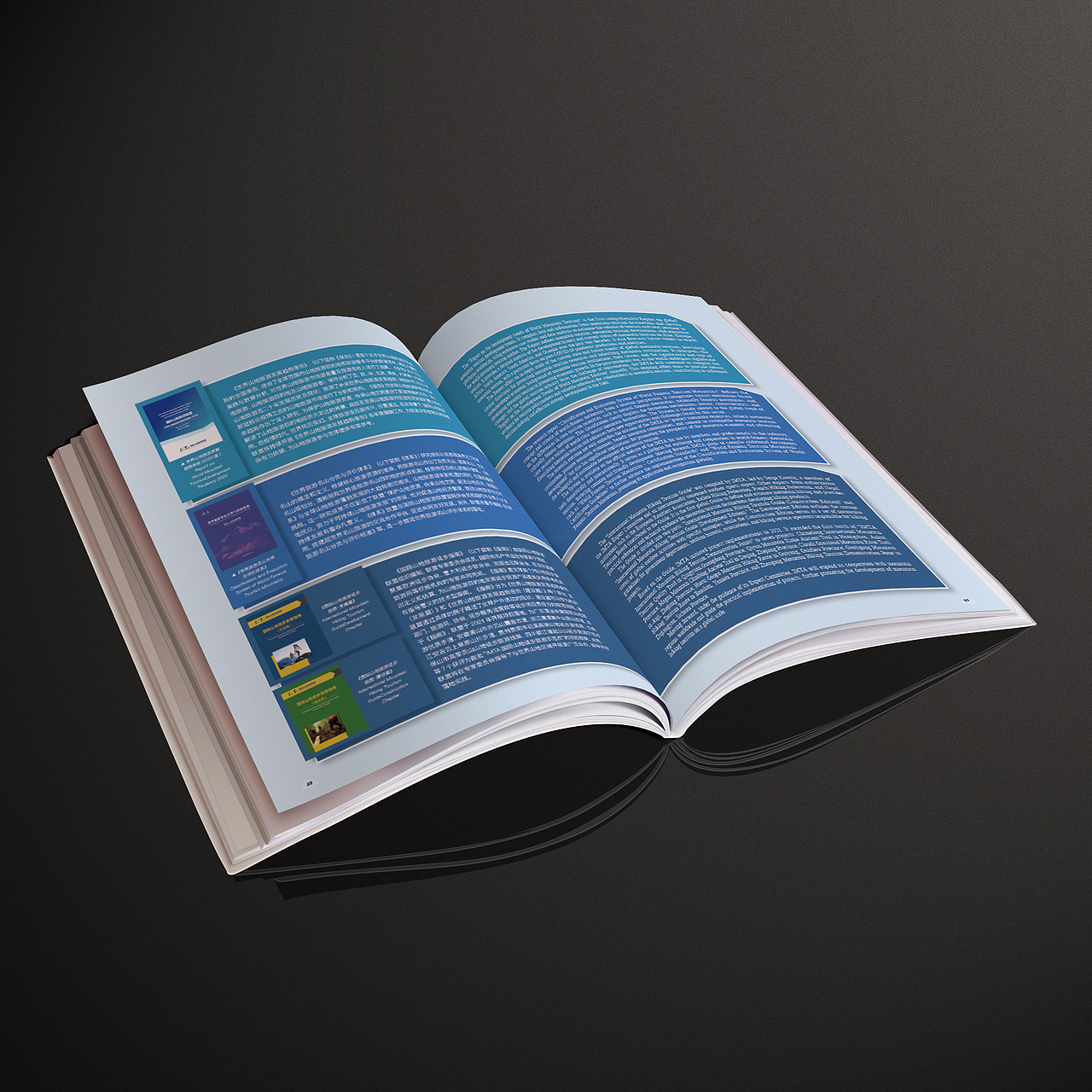 书籍排版设计 | 会刊书籍排版（图ZMzY1ODExNDQ0） - 书籍/画册 - 站酷设计师Canrol原创素材 - 站酷ZCOOL