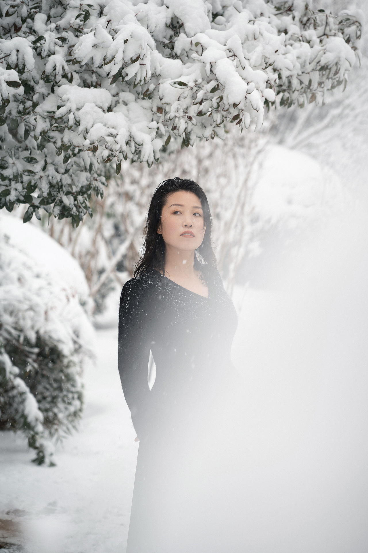 下雪了，拍照吧。