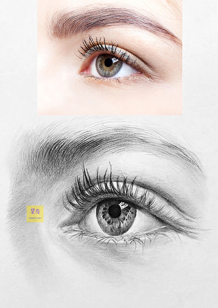 眼睛绘画详细步骤