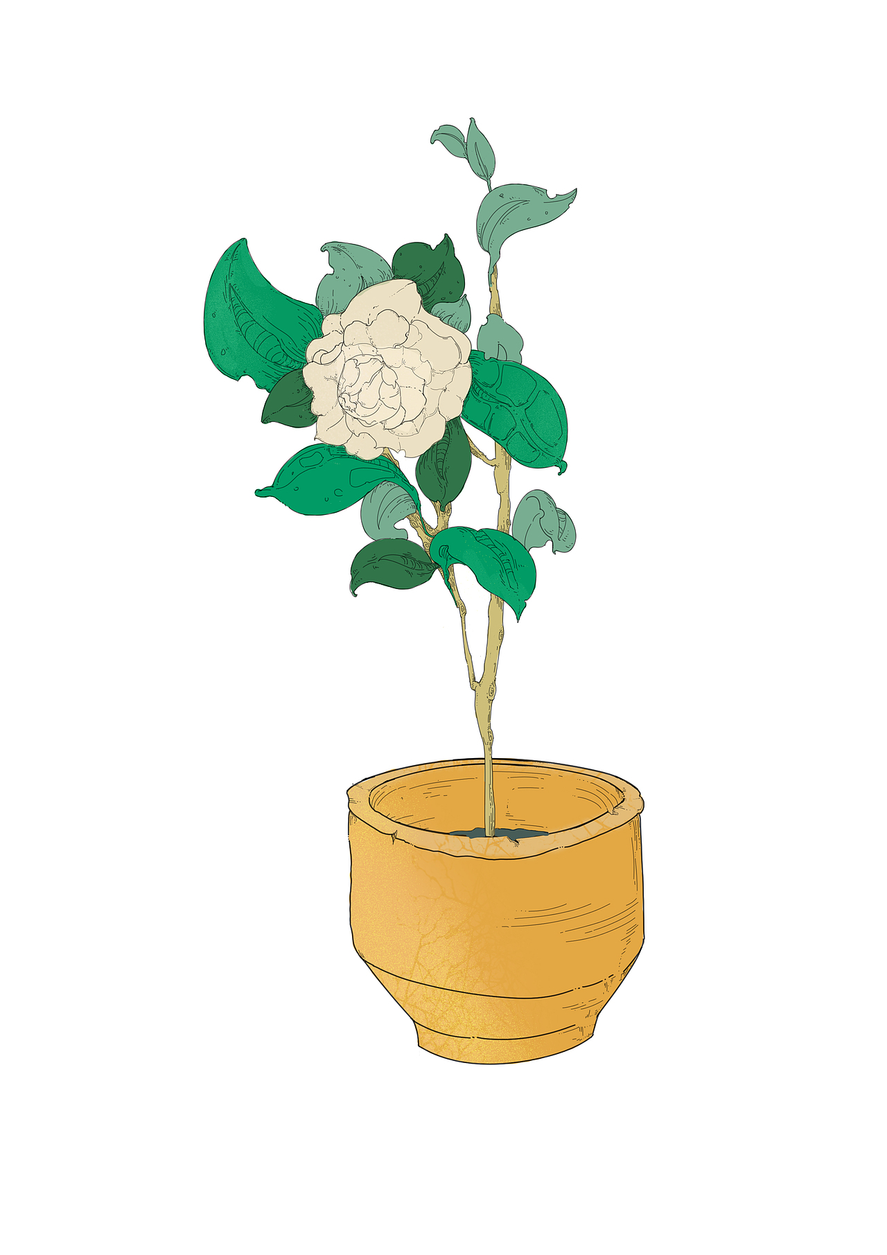 练习（图ZMzM2NzY0Njc2） - 创作习作 - 站酷设计师yimingVN原创素材 - 站酷ZCOOL