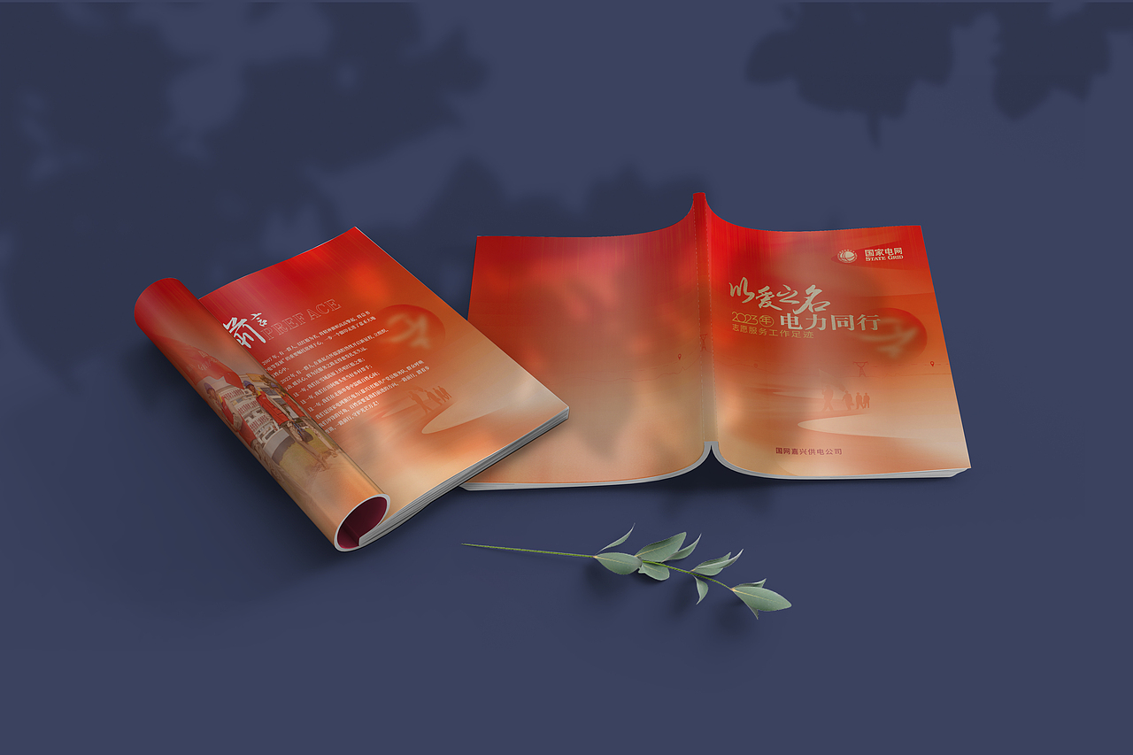 志愿服务工作足迹风格及内页（个人部分）