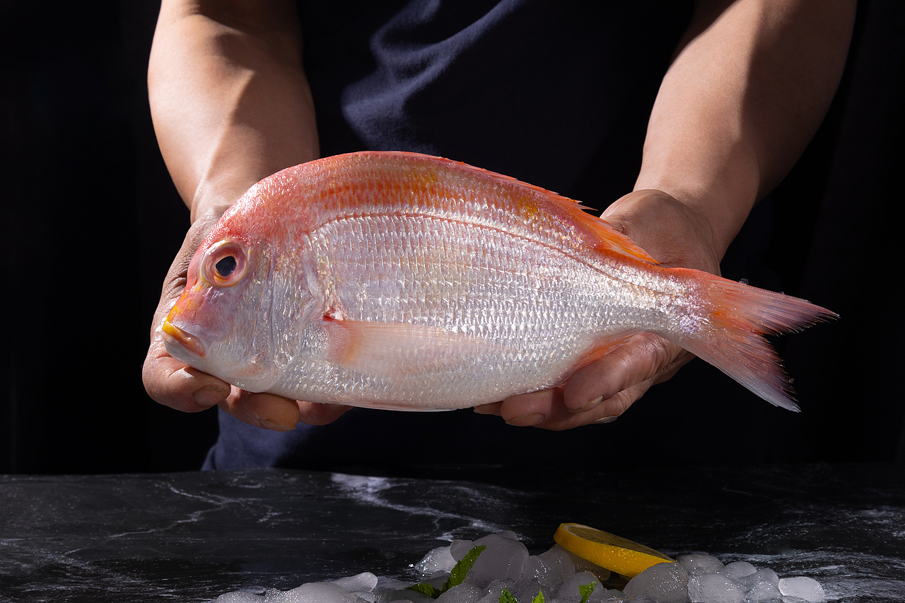 铜彭鱼（图ZMzQ3MTYyMTgw） - 产品摄影 - 站酷设计师accganjue原创素材 - 站酷ZCOOL