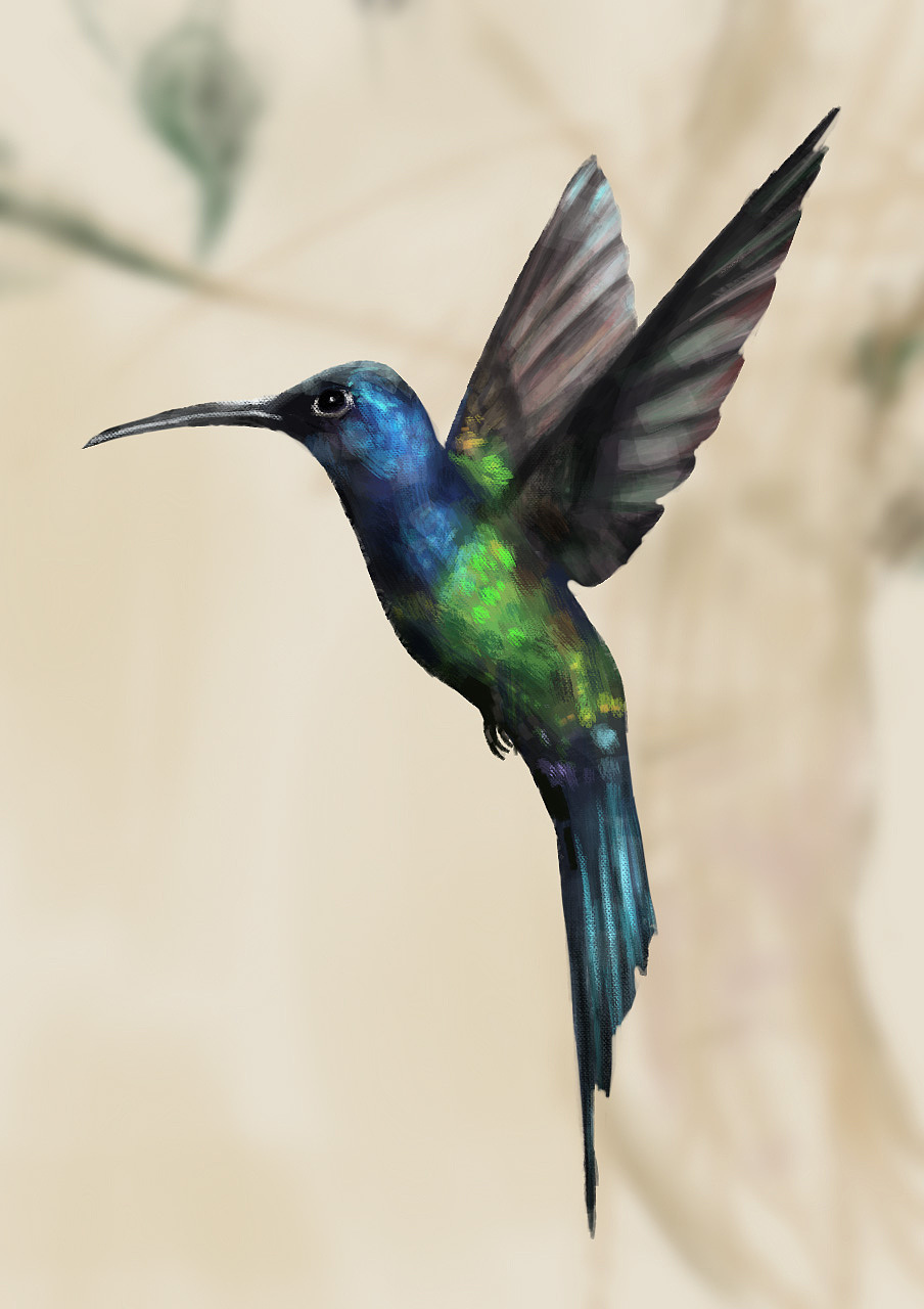 绘画星球打卡挑战-10