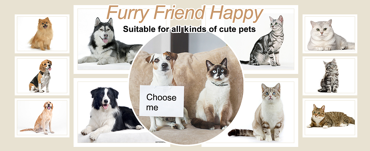 亚马逊图片设计-宠物剃毛器建模渲染