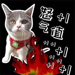 叮当的单身生活（图ZMzEyODE1MTky） - 网络表情 - 站酷设计师runningPP原创素材 - 站酷ZCOOL