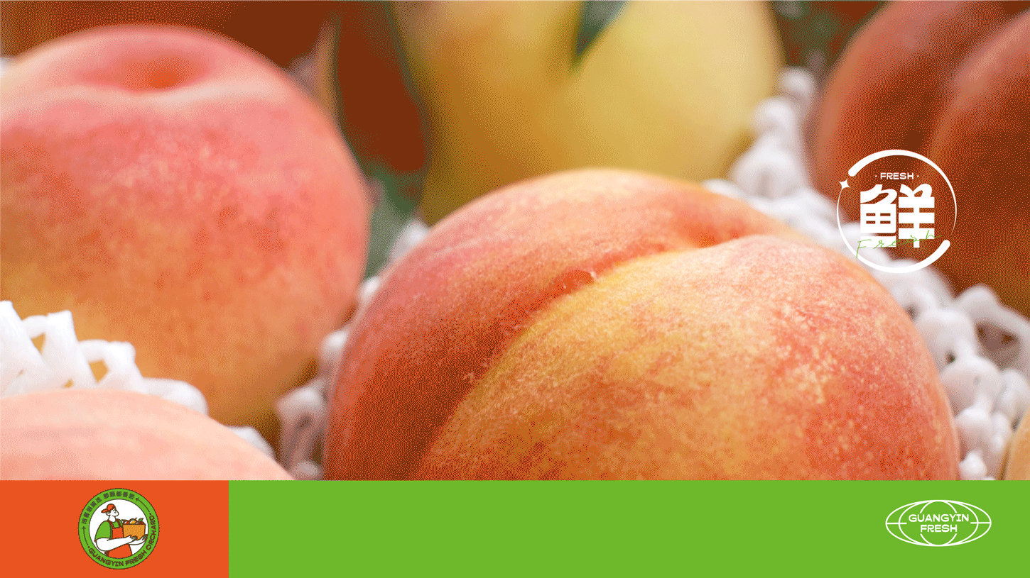 广银鲜果园——水果品牌及店面形象