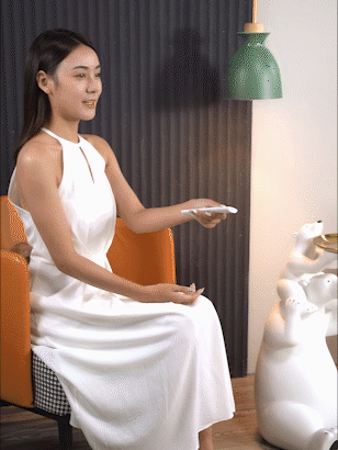 家具饰品拍摄|宠物摆件×东莞锐图摄影