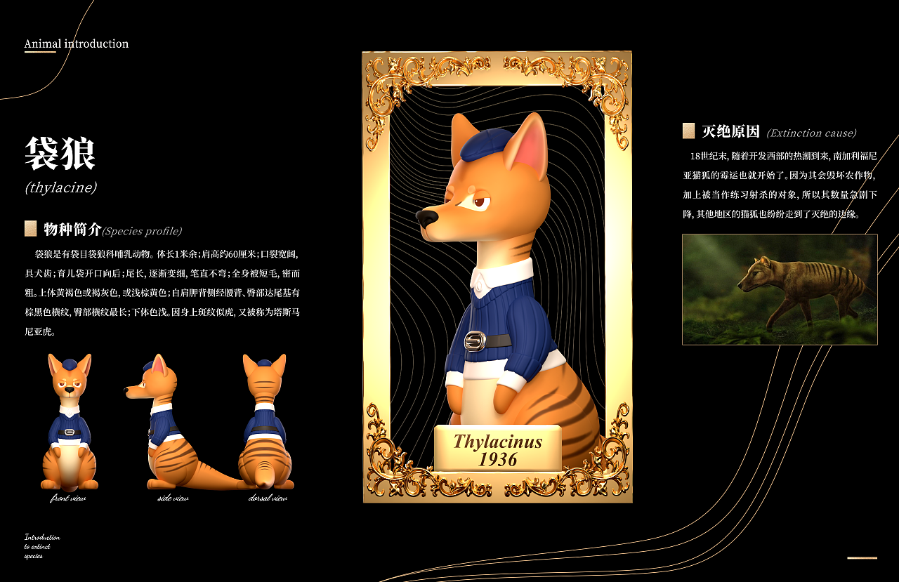 IP设计 | 相框里的动物(可授权)