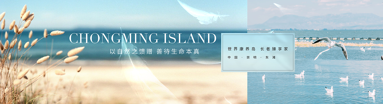 岛居康养提案视觉